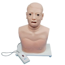 Electronic Model for Throat and Larynx Examination CS6279