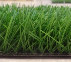 Artificial grass Grass 55Z/12
