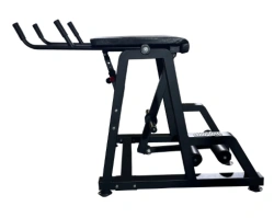 Reverse Hyperextension Machine for Back and Glute Training
