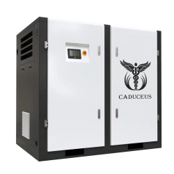 Medical Air Compressor Station CADUCEUS AIRCAD 3-50 S