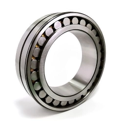 Radial Roller Bearing with Short Cylindrical Rollers, Single Row, No Flanges on Outer Ring