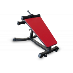 Adjustable Angle Abs Bench