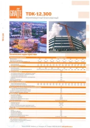 Tower Crane for Construction TDK-12.300 with 12t Capacity