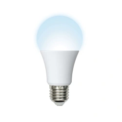 High Brightness LED Light Bulbs A65 E27
