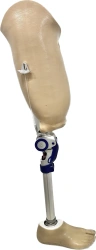Modular Hip Prosthesis for Amputation Level PН6-77