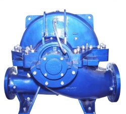 D500-1070A Horizontal Centrifugal Pump for Water and Non-Toxic Liquids