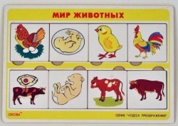 Transformation Wonders Game: Animal World