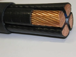 Power Cables for Voltage 0.66 kV, 1 kV with Copper Conductors: ПвВГ нг(А)