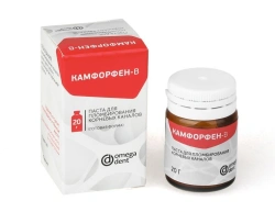 Camphorphen-V Root Canal Sealing Paste