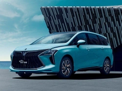 FORTHING M4 Yacht Crossover Car (6 Seats)