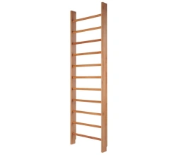 Universal Gym Wall for Kids and Adults - Model ШС-005