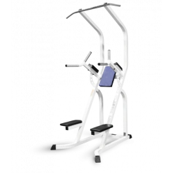 Multi-Function Pull-Up Bar and Dip Station for Home Gym