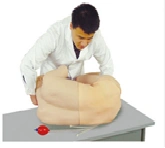Lumbar Puncture Skill Training Model CK811