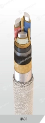 Power Cable with Aluminum Conductors and Paper Insulation, 6/10 kV