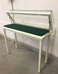 Display Case with Metal Frame "ASKomplekt