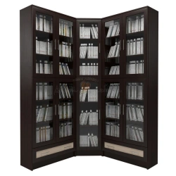 Bookshelf Cabinet for Book Storage with Adjustable Shelves