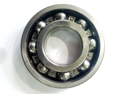 Single Row Radial Ball Bearing with Groove for Spring Ring - 6-50311AK2