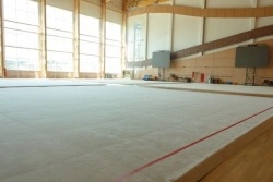 Competitive-Level Artistic Gymnastics Carpet Art. KH-009