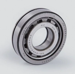 Rolling Bearing Cylindrical Roller 66-692306K2MSh2
