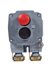 Explosion-Proof Control Station PVK-16