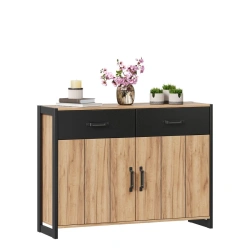 Combined Cabinet Techno LD.678210.000 (Golden Oak/Black)