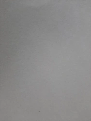 Non-Woven Fabric "Termolin 750 VP