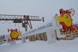 Temporary Chamber for In-Pipe Cleaning and Diagnostics VKP-500-6.3-C0-B-L-UHL1