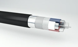 Power Cables with Aluminum Conductors and Plastic Insulation, 1 kV - APvBShp(g)