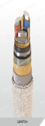 Power Cable with Aluminum Conductors and Paper Insulation, 6/10 kV, CAAP2l