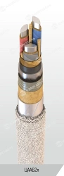 Power Cable with Aluminum Conductors and Paper Insulation, 6/10 kV
