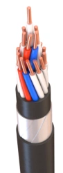 Control Cable with Copper Conductors, PVC Insulation, 0.66 kV, KVBbShn Model