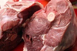 Frozen Horse Meat Category 1 in Quarters